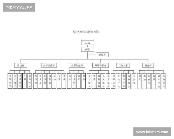 如何全面了解斯坦福桥俱乐部的组织架构与运作模式