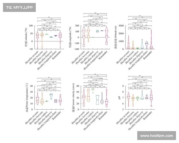 如何全面评估拳击比赛的节目内容及其影响因素分析