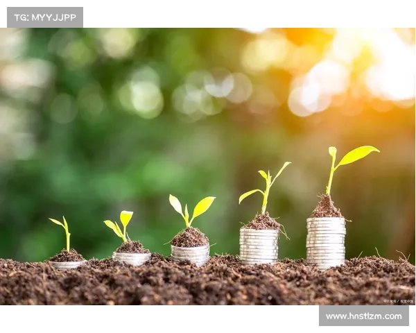 如何高效应对每周挑战提升个人成长与工作效率的关键策略